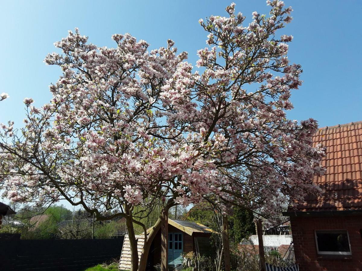 Ferienwohnung Ostfriesland Stapelmoor ภายนอก รูปภาพ